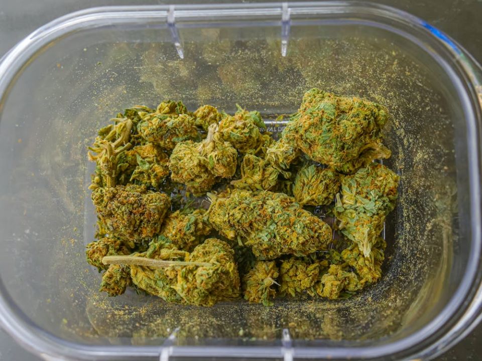 Cannabis Blüten in Tupperware