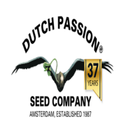 Dutch Passion Logo 37 Jahre